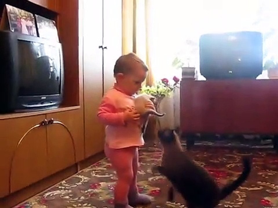 Mama Cat Takes Back Her Crying Kitten From Toddler