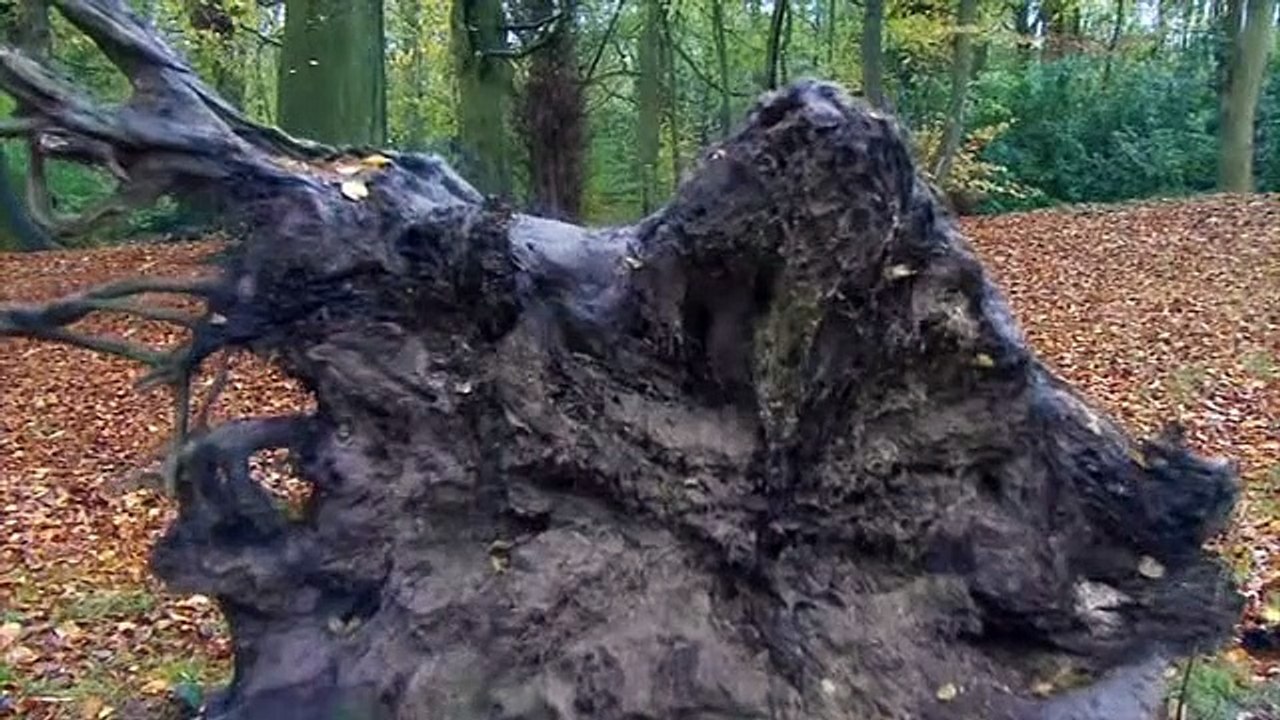 Hollyoaks 8th January 2015