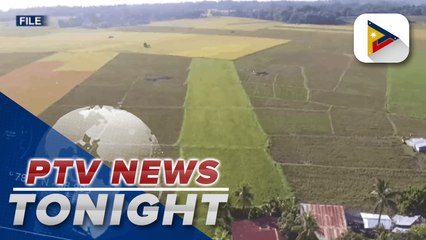 DepEd eyes late August or September opening of classes