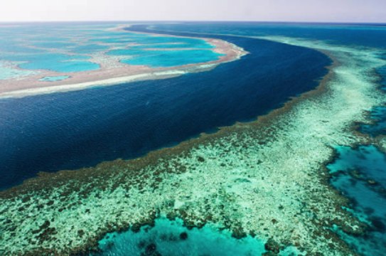 Australia Rejects UN Climate Warning Concerning Great Barrier Reef