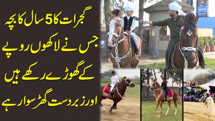 Gujrat ka 5 Saal Ka Bacha jis ne lakhon rupay k Ghoray Rakhay hain aur zabardast Ghur Sawar Hai….