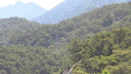 Son dakika haber... Ormanlık alanda çıkan yangın söndürüldü