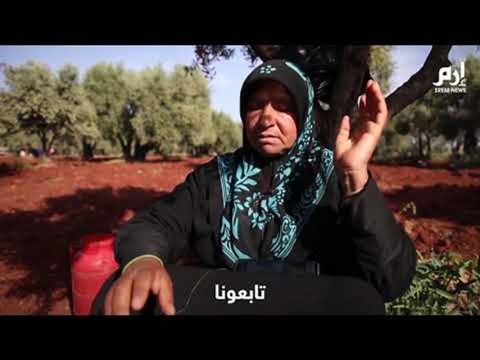 هاربون من القصف.. سوريون يتخذون من حقول الزيتون ملجأ لهم