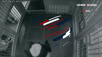 Pandanın ikiz bebekleri dünyaya getirdiği o anlar kamerada