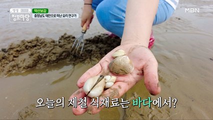 여름 하면 뭐다ヽ( ﾟ▽ﾟ)ノ 시원~한 바닷가!