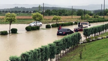 SAKARYA - Kuvvetli sağanak ve fırtına etkili oldu