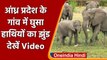 Chittoor Elephant Viral Video: Andhra Pradesh के गांव में घुस आया हाथियों का झुंड | वनइंडिया हिंदी