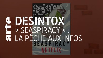 « Seaspiracy » : la pêche aux infos | 23/06/2021 | Désintox | ARTE