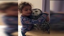 Küçük kızın baykuşla inanılmaz arkadaşlığı