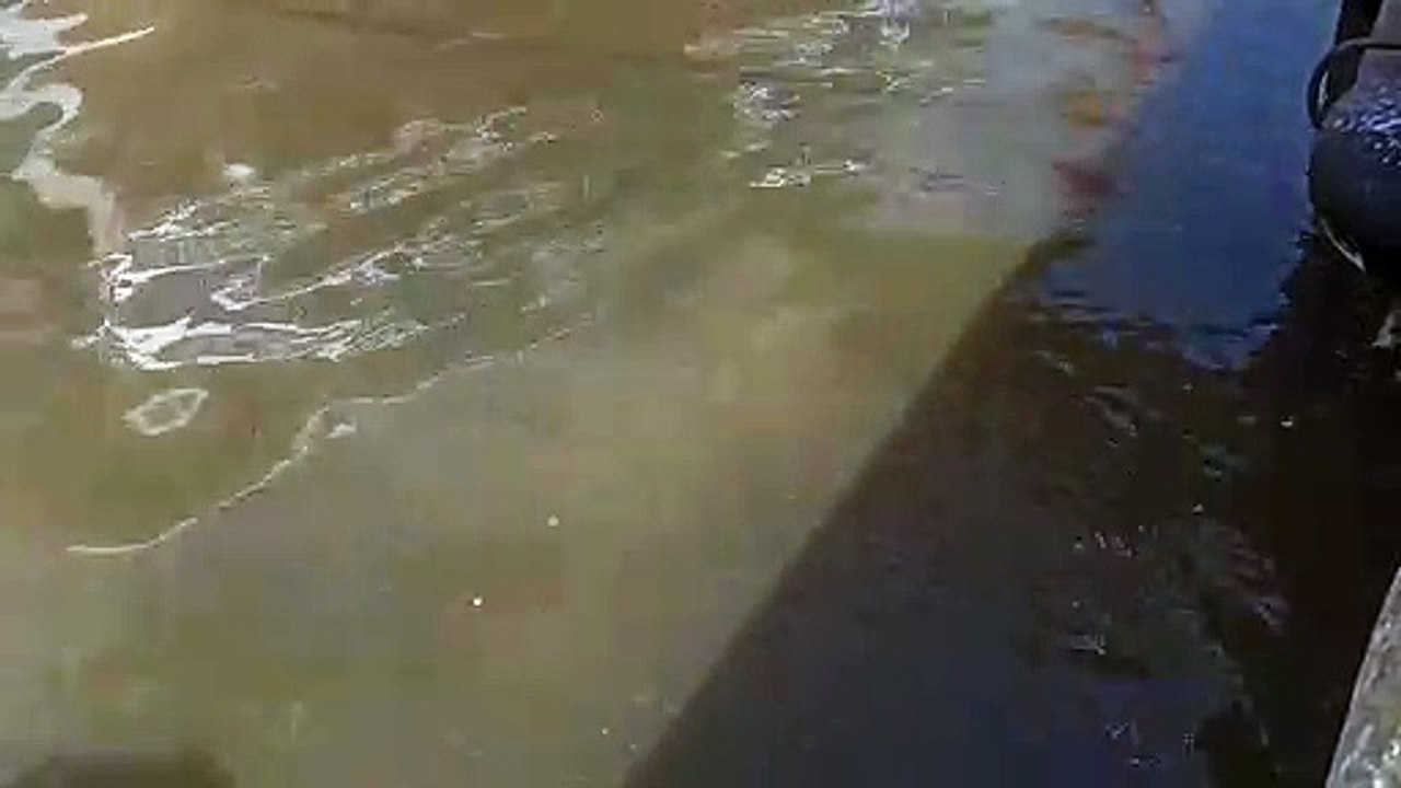 Bodrum'un kronikleşen altyapı sorunu: Deniz lağım kokuyor