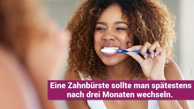 Bakterienalarm: Diese Dinge solltest du rechtzeitig austauschen!