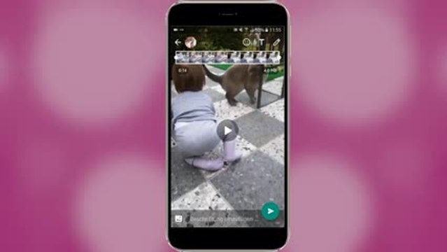 WhatsApp Hacks: 7 versteckte Funktionen, die jeder kennen sollte