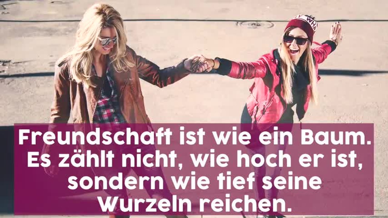 Mehr als Pferde stehlen Die besten Sprüche über Freundschaft video