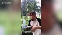 Les tortues ça mord... très fort