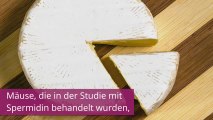 Irre Studie: Diese Käsesorten können euer Leben verlängern!