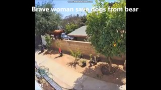 Brave woman save dogs from bear