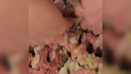 Gyoza: ganz einfach selber japanisch kochen