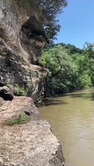 Dog Dives off Land Bridge into River