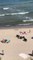 Insolite : une harde de sangliers sauvages au milieu des touristes sur une plage en Pologne