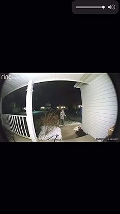 Porch Slip Interrupts Friendly Chase
