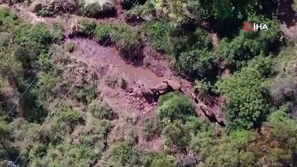 Çin'deki firari fil sürüsünden bir yavru, çamur banyosu yaparken görüntülendi
