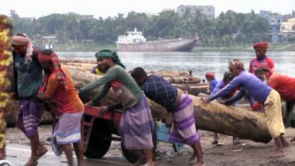 Huir o vivir con el agua al cuello: La amenaza que pesa sobre ciudades costeras de todo el mundo