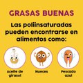 ¿Sabes identificar los tipos de grasas