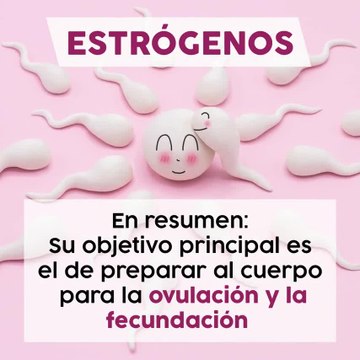 Las hormonas sexuales y sus funciones