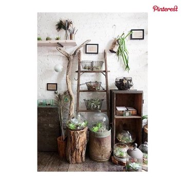 Ideas para decorar con plantas