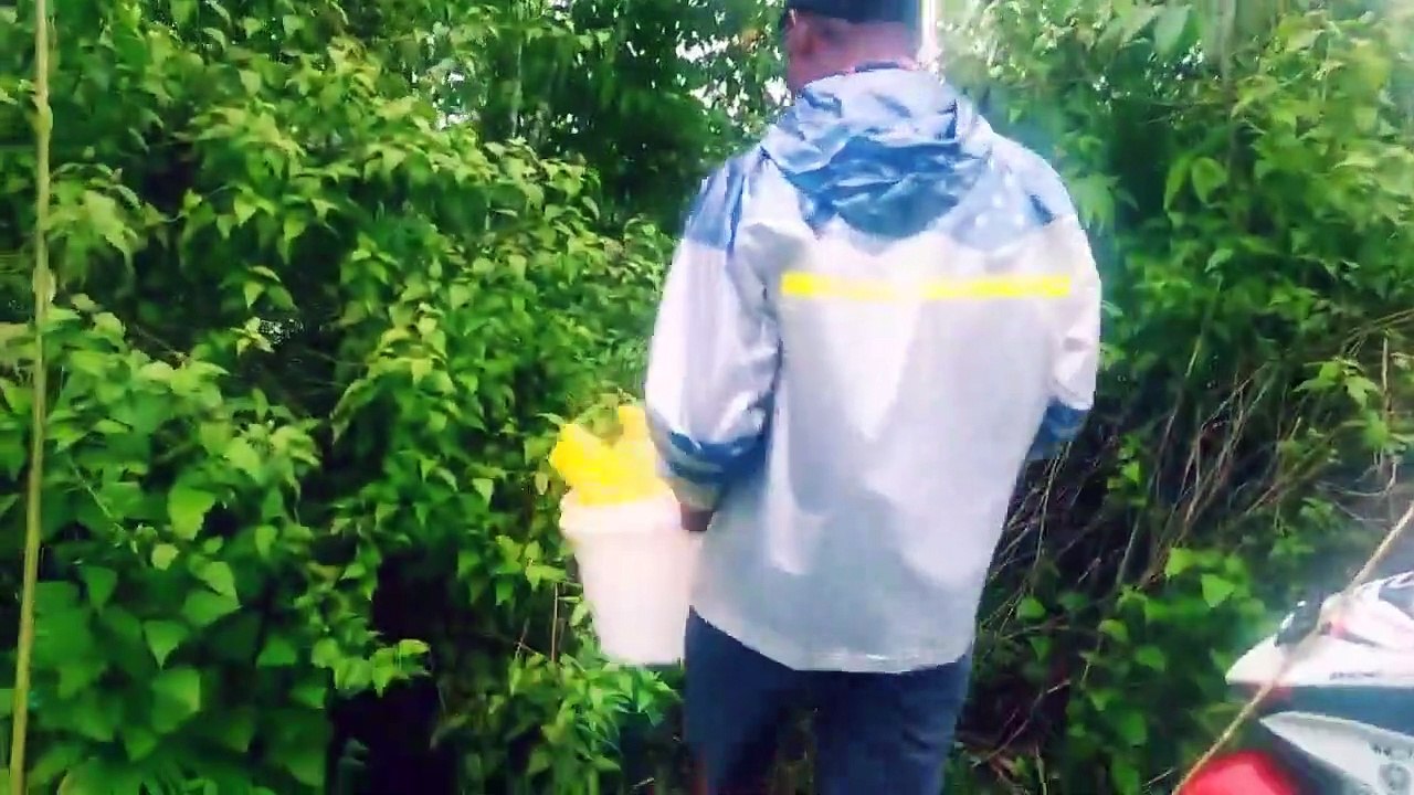 Tilapia fishing freshwater pond 2021Part 05-720p
