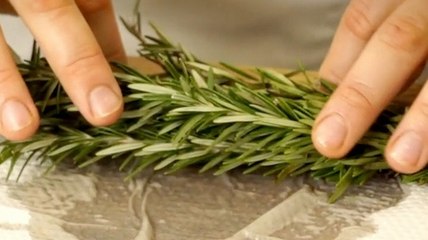 Kräuter richtig lagern: Video & Tipps