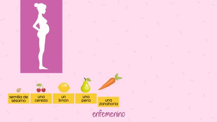 tamaño bebé embarazo