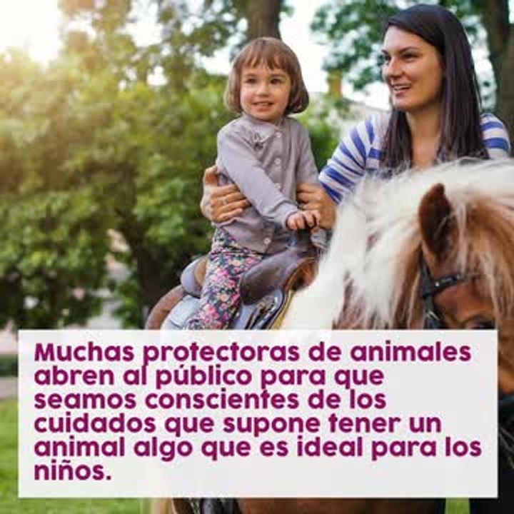 ¿Qué planes hacer con niños el fin de semana
