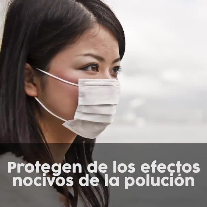 Beneficios semillas de chia