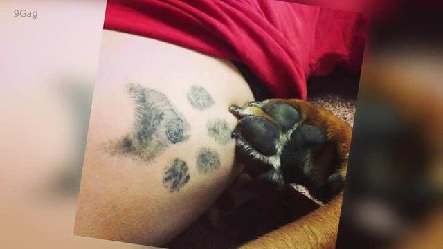 Los mejores tatuajes para acordarte siempre de tu perro