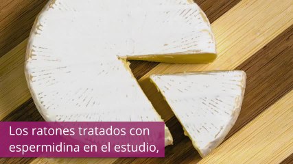 Noticia BOMBA: el queso podría alargar la vida