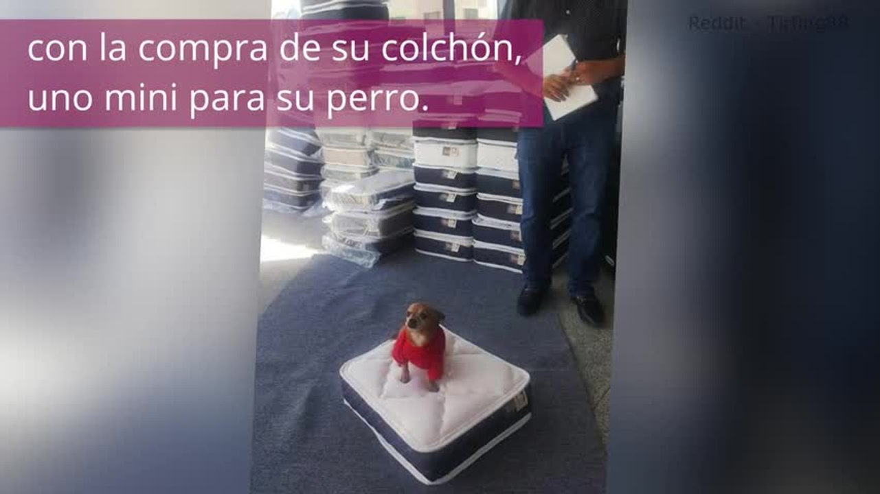 Estas tiendas tienen ideas súper creativas, ¡querrás volver!