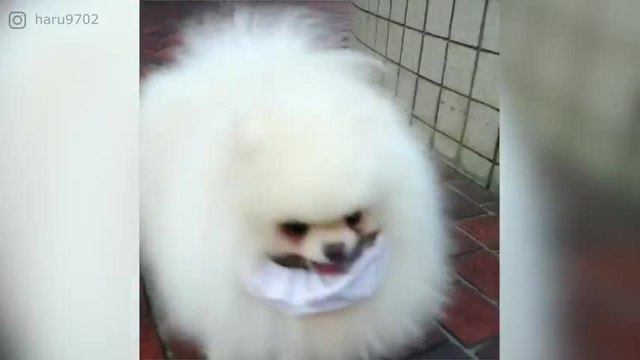 ¡Es tan blandito que me quiero morir!