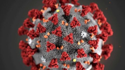 Will Delta Plus trigger a third wave?