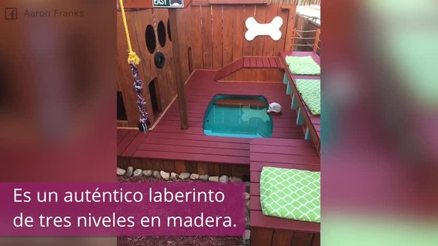 ¡Menudo palacio de juegos tienen estos perros!