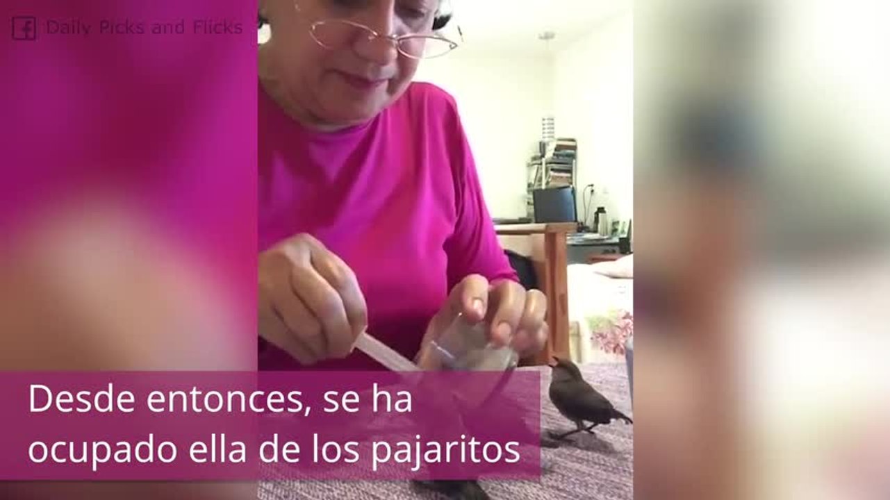 Esta mujer cuida de unos bebés muy especiales: ¡unos pajaritos!