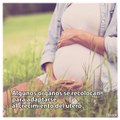 Curiosidades sobre el embarazo