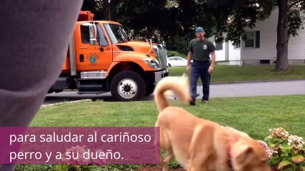 ¡Este Golden Retriever tiene un amigo muy especial!