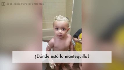 ¡Estos peques están repletos de mantequilla pero intentan parecer inocentes!
