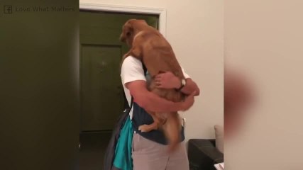 ¡Este es el regreso a casa más tierno de la historia!