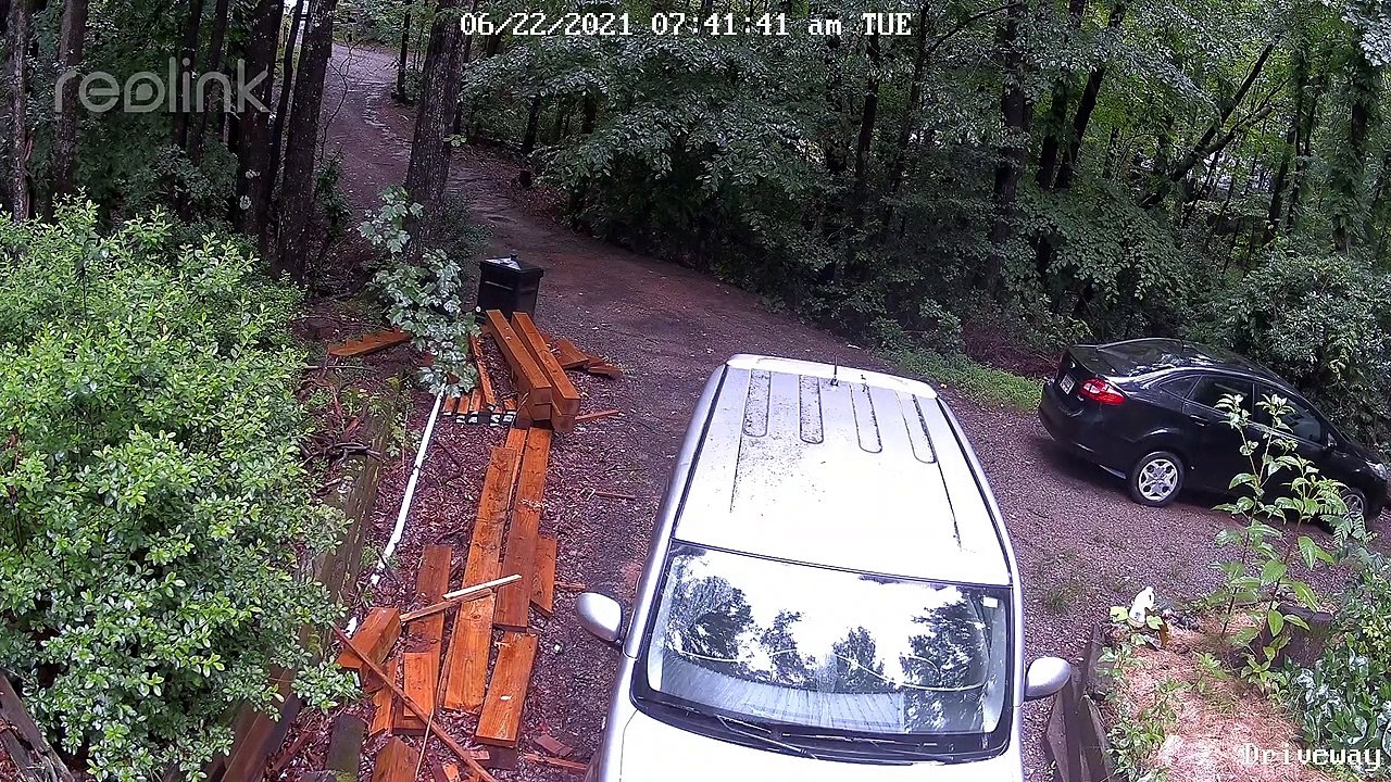 Mother Bear Defends Triplets From Dog