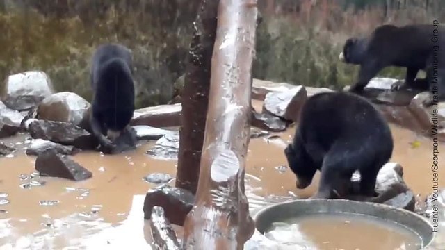 Este zoo tiene a sus animales en las peores condiciones