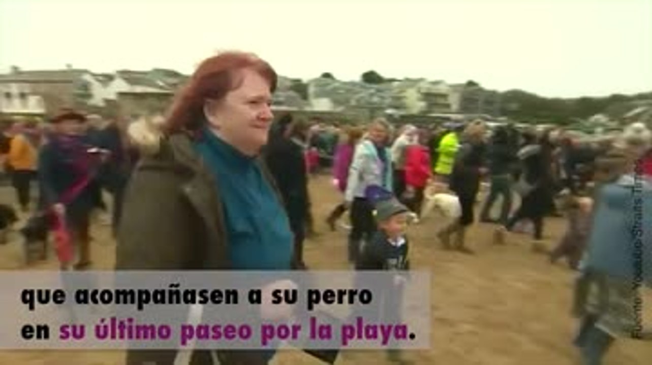 ¡Cientos de personas han despedido a este perro en su último día!