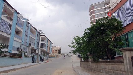 - Nazilli’de kısa süreli fırtına etkili oldu