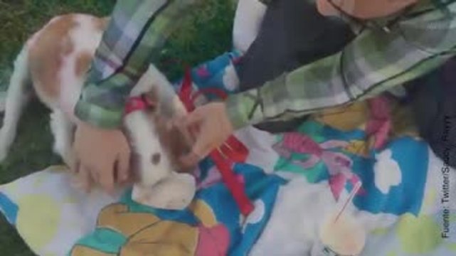 Este chico pasa un inolvidable día con su perro por última vez